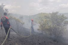 Diduga Sengaja Dibakar,...