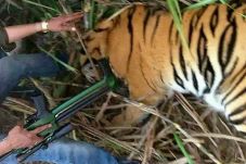 Bunuh 6 Warga India,...
