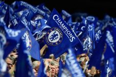 5 Fakta Menarik Wolves...