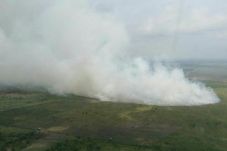 Kebakaran Lahan di Rokan...