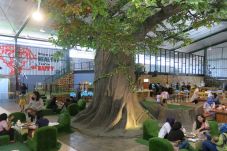 Bawa Hutan ke Kota,...