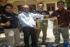 Polisi Tangkap Istri...