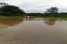 Banjir Rendam Puluhan...