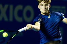 Goffin Berada dalam...