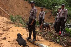Anjing Pelacak Dikerahkan...