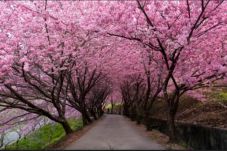 Lima Tempat yang Cocok...