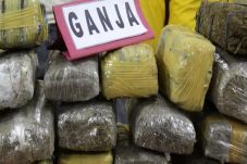 Polisi Amankan 10 Kg...