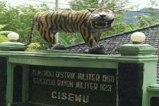 Media Inggris Ikut Soroti...