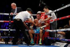 Golovkin Punya Persentase...