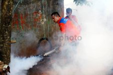 Fogging Pemerintah Tak...