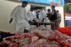Badan Karantina Pertanian...