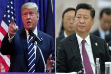 Pekan Depan, Donald...