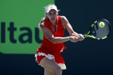 Wozniacki Pijak Babak...