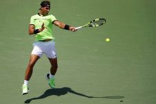 Habisi Fognini, Ambisi...
