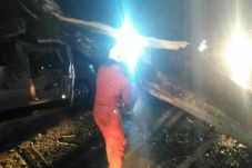 Alphard Ini Tertimpa...