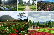 10 Taman Bunga Terindah...
