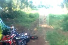 Suku Mante dan Eksistensi...