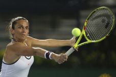 Vinci dan Niculescu...