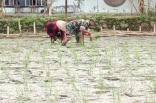 Tentara Bantu Petani...