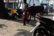 Tim Anies-Sandi: Lihat...