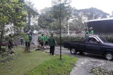 Sejumlah Pohon di Gedung...