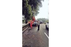 Hujan Angin, Sejumlah...