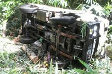 Truk Muatan Kayu Sengon...