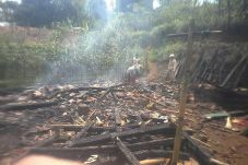 Ditinggal ke Kebun,...