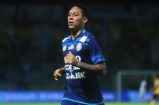 Berstatus Marquee Player,...