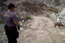 Cari Korban Longsor...