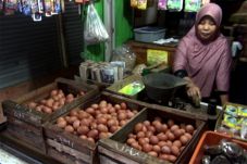 Harga Telur di Daerah...