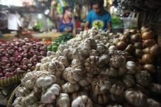 Harga Bawang Putih di...