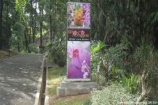 Di Usia Dua Abad, Kebon...