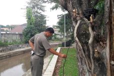 Kabel Dicuri, Taman...