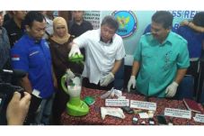 BNNP Bengkulu Musnahkan...