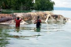 Massive Sea Monster...