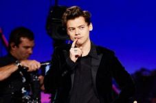 Harry Styles Hindari...