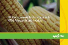 Perkuat Penjualan, Syngenta...