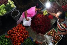 Harga Anjlok, Petani...