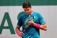 Raonic Miliki Banyak...