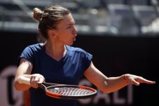 Halep Dibayangi Masalah...