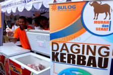 Harga Daging Kerbau...