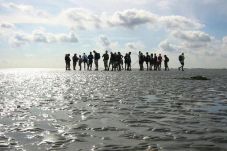Wow! Mendaki di Laut...