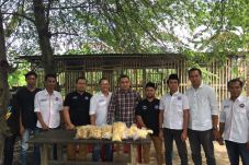Ketum Pemuda Perindo...