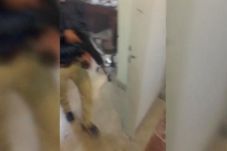 Tuduh Saudi Dalang Serangan,...