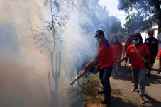 Selain Fogging, DPW...