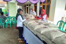 DPD dan Sayap Perindo...