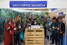 Eksportir Kopi Gayo...
