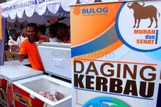 5.000 Ton Daging Kerbau...