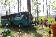 Bus Pemudik Tabrak Pohon...